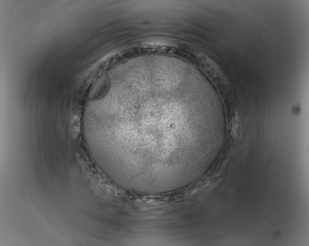 X0000116480821200912231128