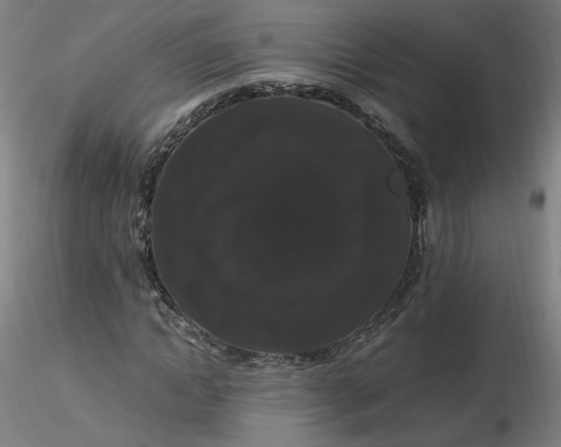 X0000116480822200912231128