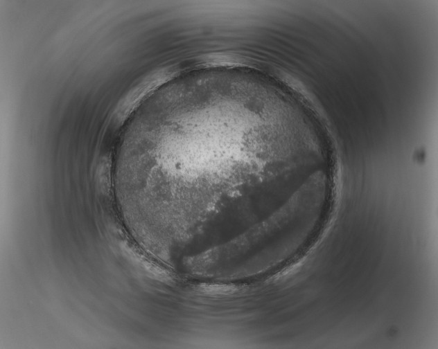 X0000116480825200912231128