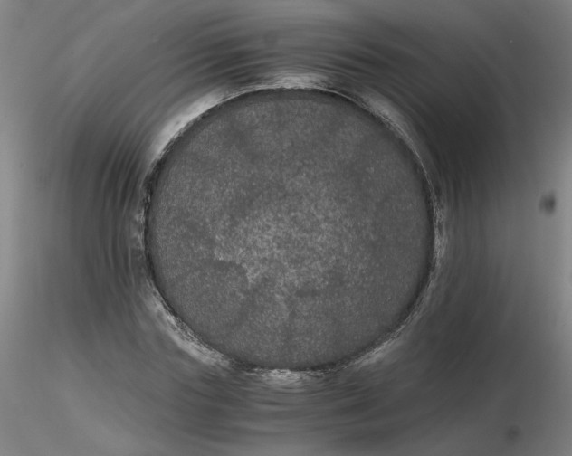 X0000116480827200912231128