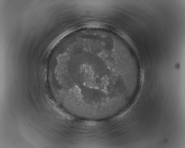 X0000116480829200912231129