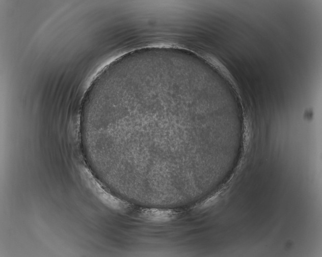 X0000116480831200912231129