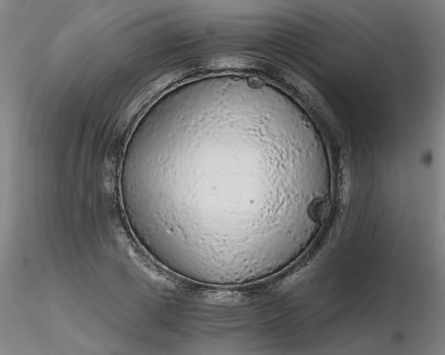 X0000116480833200912231129