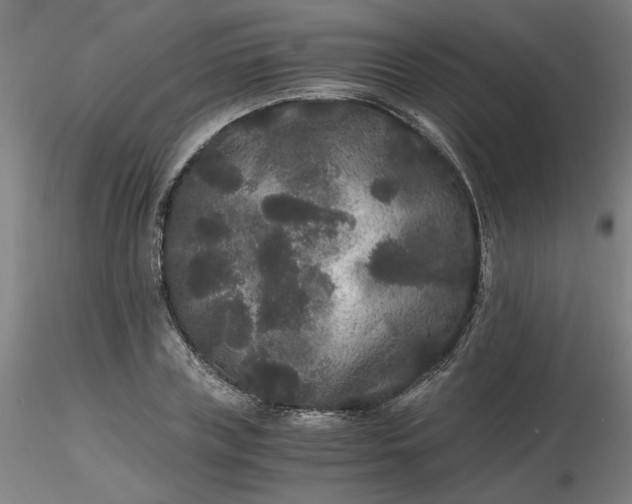 X0000116480835200912231129