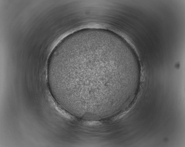 X0000116480837200912231129