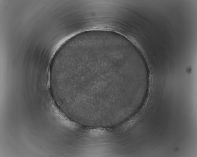 X0000116480838200912231129