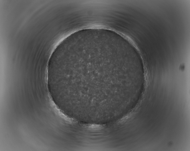 X0000116480839200912231129