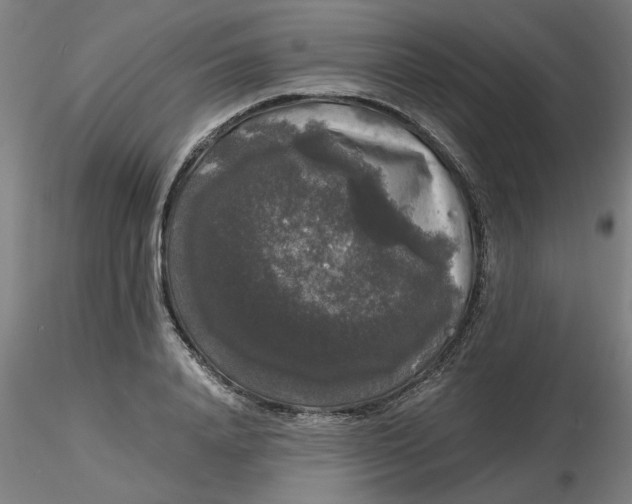 X0000116480840200912231129