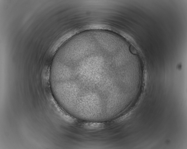 X0000116480841200912231129