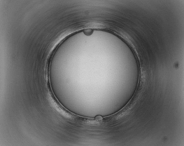 X0000116480843200912231129