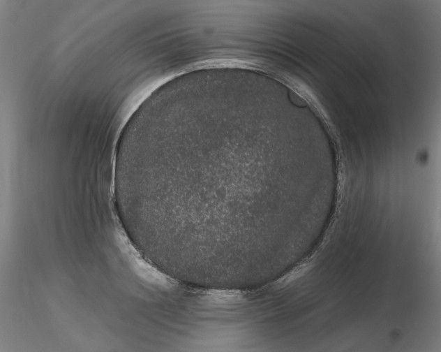 X0000116480844200912231129