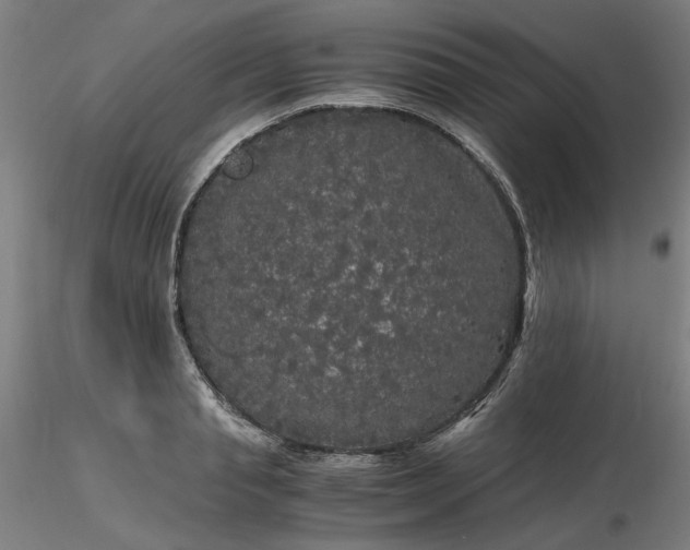 X0000116480845200912231129