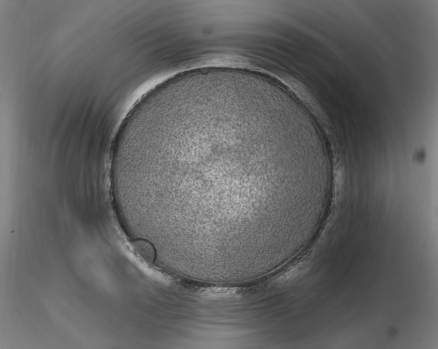 X0000116480846200912231129