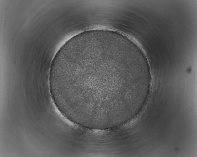 X0000116480847200912231129