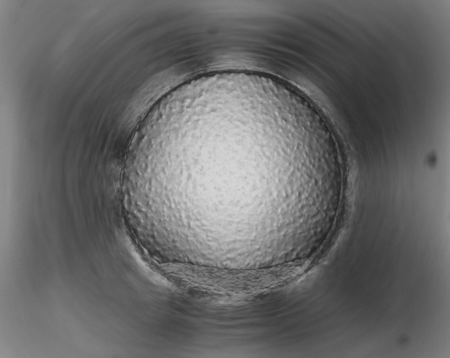 X0000116480849200912231129