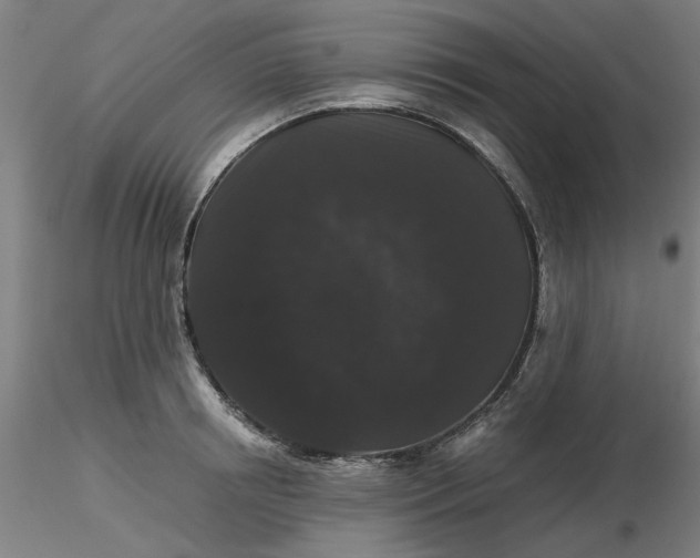 X0000116480850200912231129