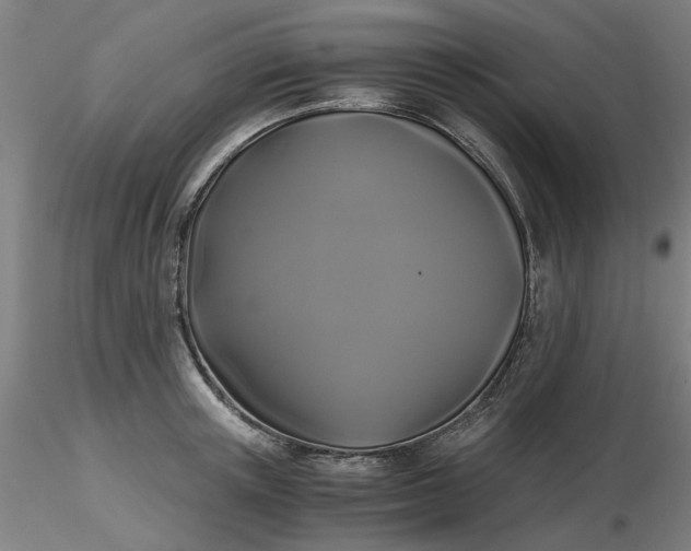 X0000116480851200912231129