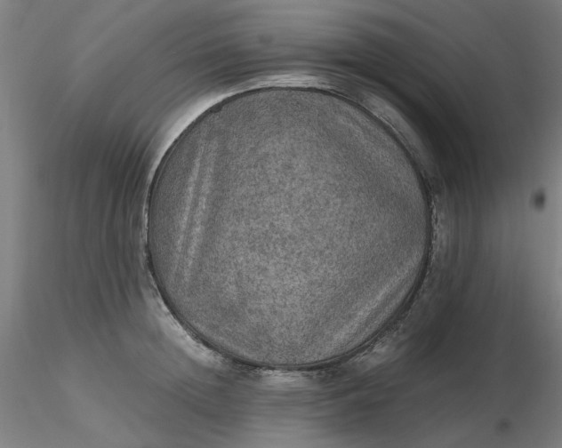 X0000116480852200912231129