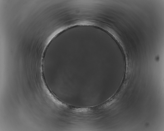 X0000116480853200912231129