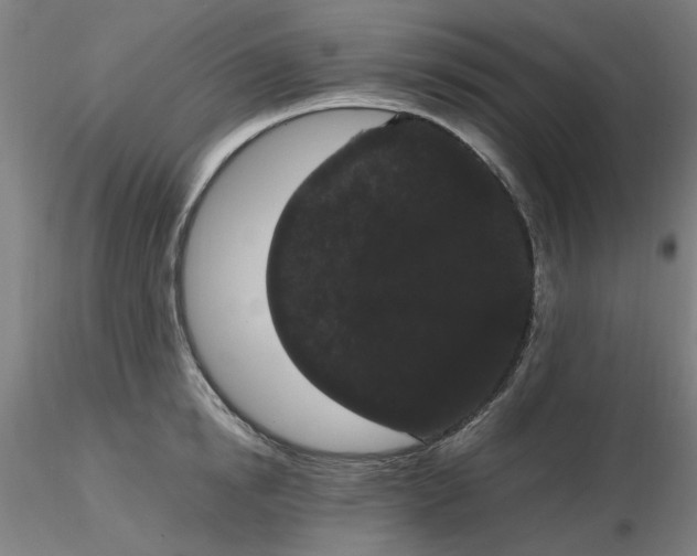 X0000116480854200912231129