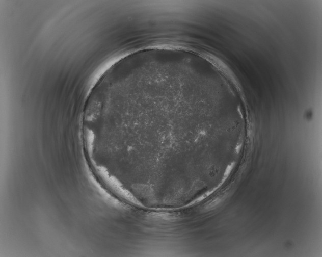 X0000116480855200912231129