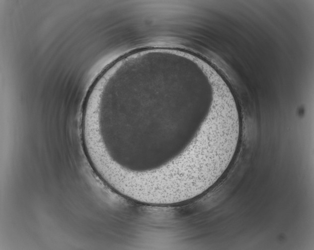 X0000116480856200912231129