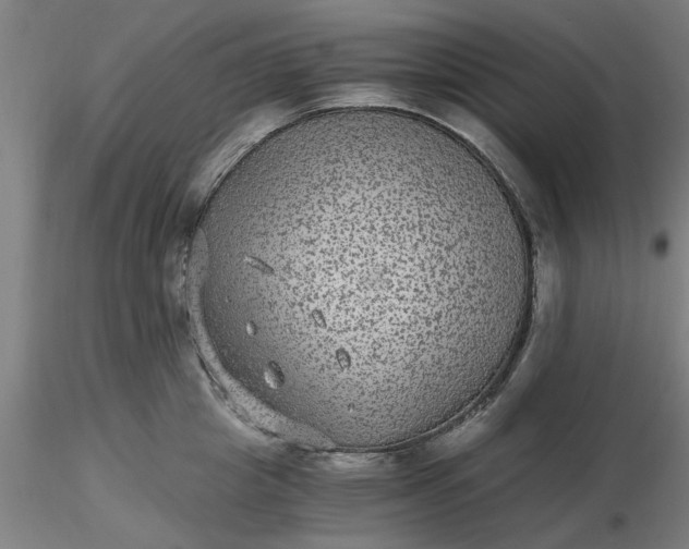 X0000116480857200912231129