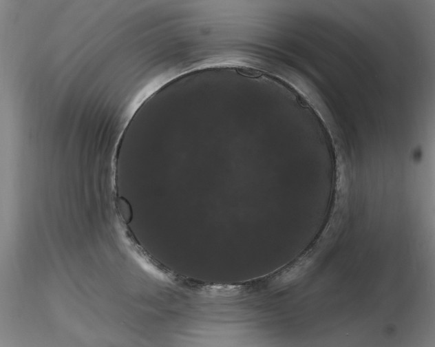 X0000116480858200912231129