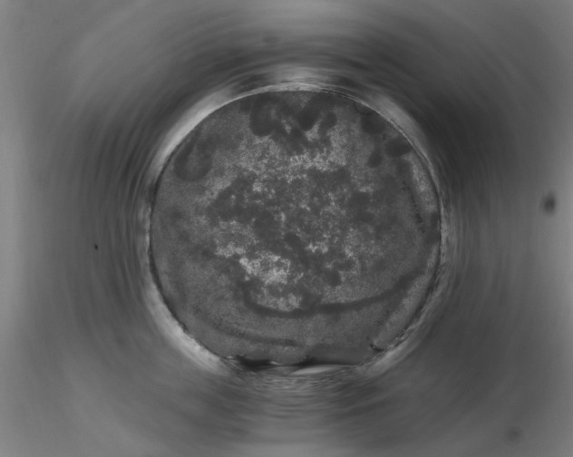 X0000116480859200912231129