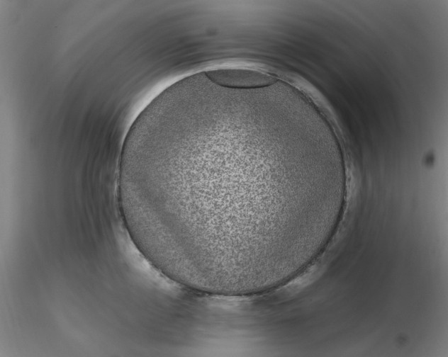 X0000116480860200912231129