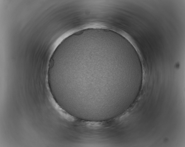 X0000116480861200912231129