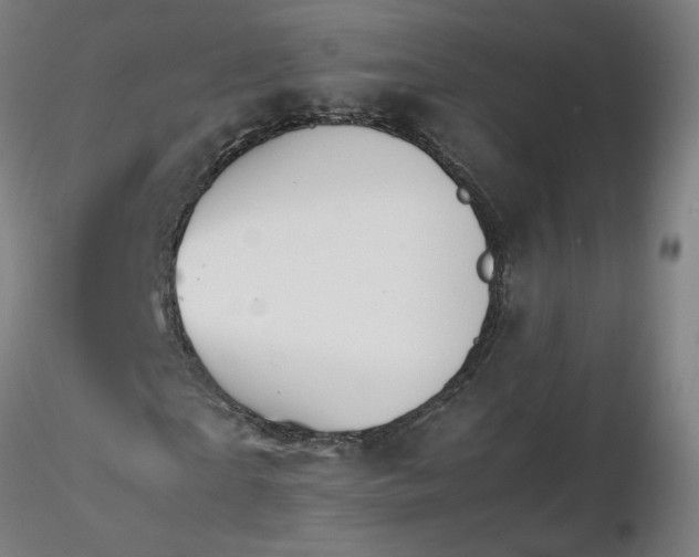 X0000116480865200912231128