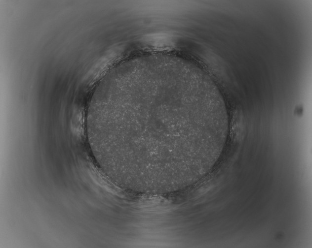 X0000116480866200912231128