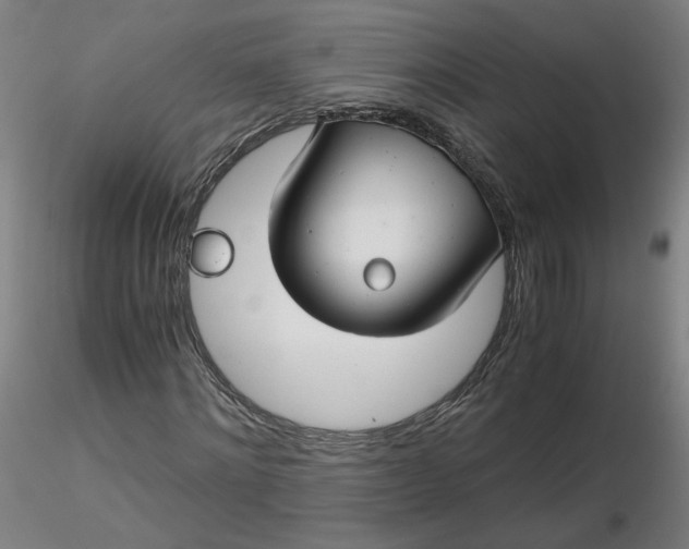 X0000116480868200912231128