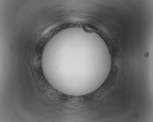 X0000116480869200912231128