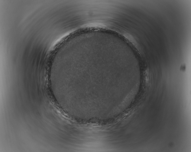 X0000116480872200912231128