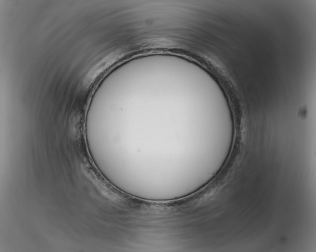 X0000116480873200912231128