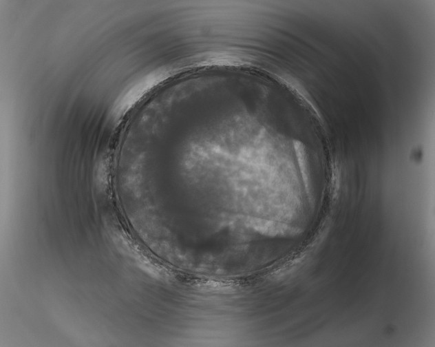 X0000116480874200912231128