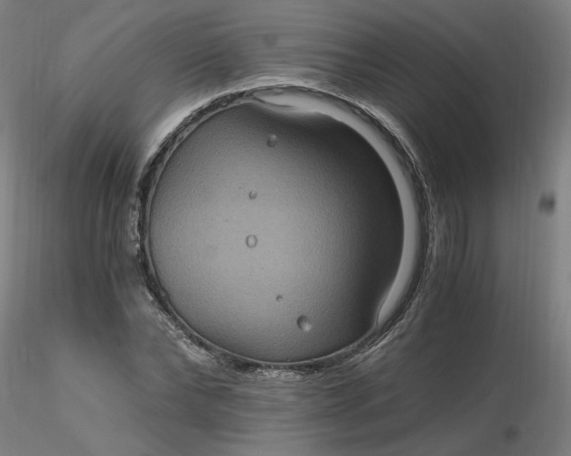 X0000116480878200912231128