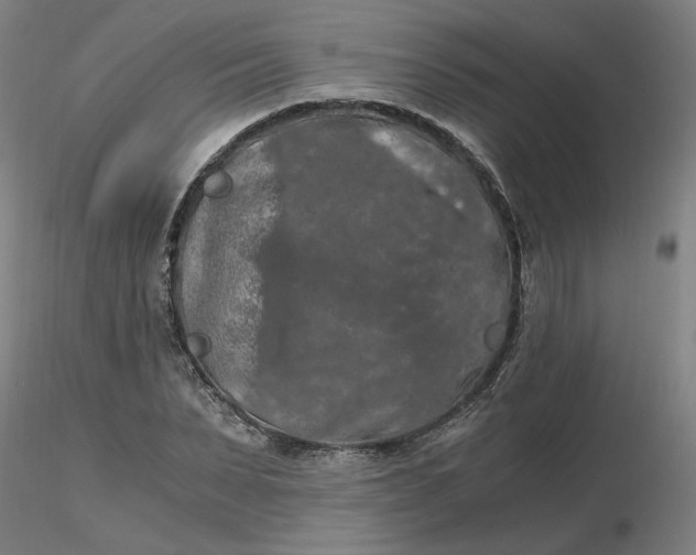 X0000116480879200912231128