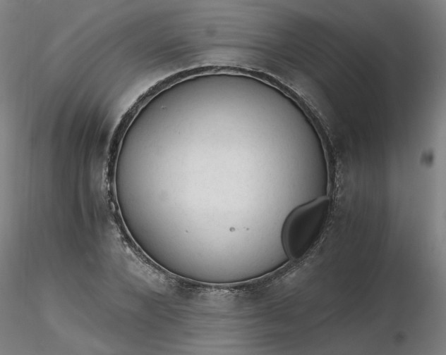 X0000116480880200912231128