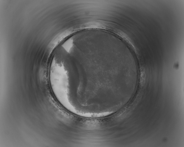 X0000116480882200912231128