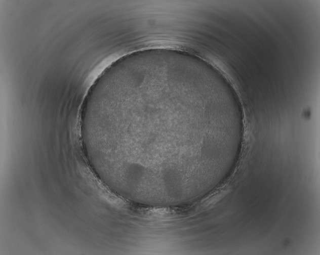 X0000116480883200912231128