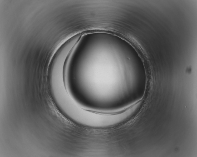 X0000116480884200912231128