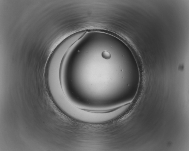 X0000116480885200912231128