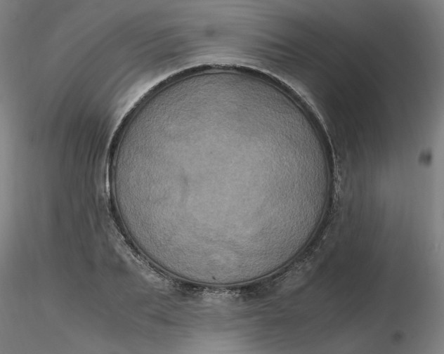 X0000116480887200912231128