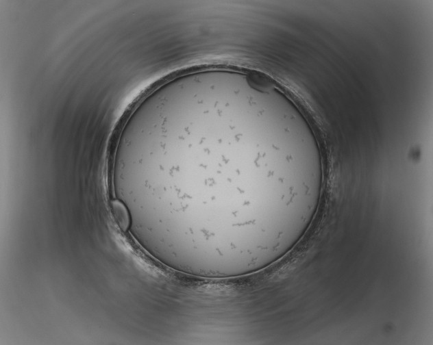 X0000116480888200912231128