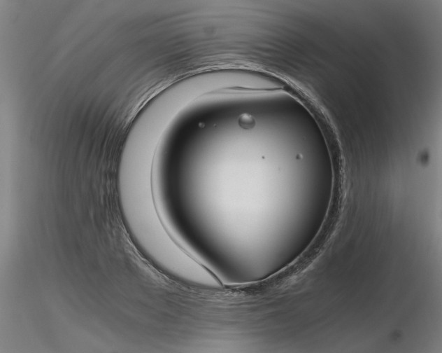 X0000116480889200912231128