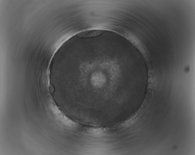 X0000116480892200912231128