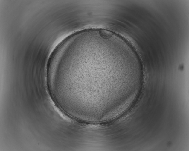 X0000116480894200912231128